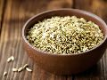 Best Quality Fennel Seed