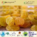 Indian Golden Raisins