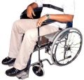 Wheelchair Belt