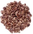 Moringa Oleifera Seed (PKM II)