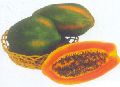 Papaya  Seeds