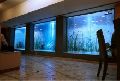 Ultra Large Aquariums