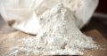 diatomaceous earth powder