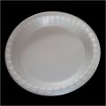 Disposable Round Plate (10 Inch)