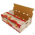 Fruits Export Corrugated Boxes