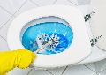Verus Toilet Bowl Cleaner