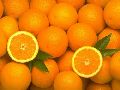 fresh kinnow oranges