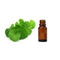 Crude Dementholised Mint Oil