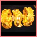 Gold Bangles - Dsc  000100