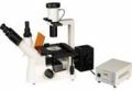 flurescence tissue culture microscope