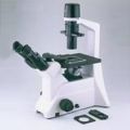 T100 Tissue Culture Microscope