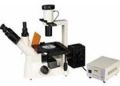 TF400 Tissue Culture Microscope