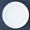 Full & Quarter Round Acrylic Dinner Plate