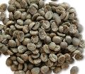 Coffee Beans Arabica Bbb