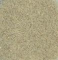Pusa White Sella Basmati Rice (old Crop)