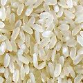 White Short Rice
