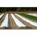 Non Woven Fabric Crop Covers