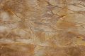 Brown Forest Marble