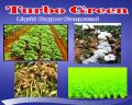 Turbo Green Micronutrient Mixture Fertilizer