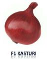F1 Kasturi Onion Seed