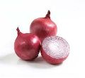 Nasik Red N-53 Onion Seed