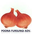 Poona Fursungi Onion Seed