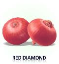 Red Diamond Onion Seed