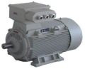 Y2 Series Low Voltage Asynchronous Motor