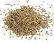 ajwain seeds