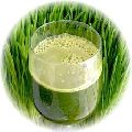 Wheat Grass Giloy Amla Juice