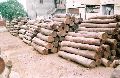Shisham Logs