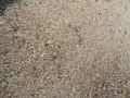 Imported Silica Sand