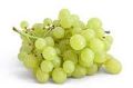 Seedless Thompson Grapes