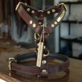 Dog Leather Collars & Leashes