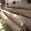 Teak Wood Logs