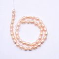Light Pink Shell Pearl Beads