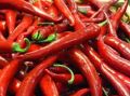 Whole Red Chili