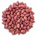 peanuts seed