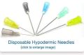 Disposable Hypodermic Needle